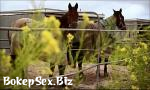 Download Vidio Bokep Lovely Horses Girl mp4