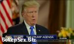 Bokep Fox host gives trump blow job on live 3gp