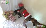 Streaming Bokep Christmas ebony with dog partner 2018