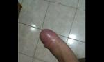 Video Bokep Punheta mp4