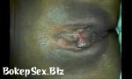 Bokep Xxx Black Gitl Fingering - porninspire 3gp online