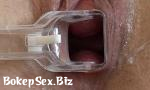 Vidio Bokep Close-up sy and masturbation mp4