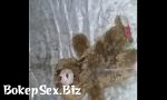 Video Sex Pissing on stuffed animal gratis