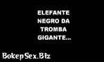 Bokep Xxx Elefante Beleza 3gp online