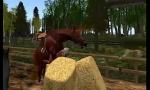 Bokep Full Equines love in mount ms 3gp