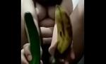 Download Video Bokep ngemut pisang colok timun t.me/vipbilik terbaru