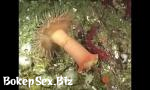 Video Bokep Terbaru Spongebob watches sea anemone. mp4