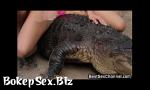 Bokep Full WTF Hot Babes ing Alligators! terbaru 2018