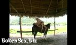 Nonton Bokep Online At the ranch 3gp