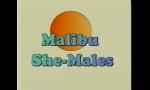 Film Bokep Metro - Malibu Sme Males - Full movie terbaru 2020