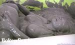 Watch video sex Horny Mud Bath Girls with Mindi Mink HD in BokepSex.biz