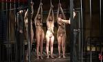 Bokep Hot Slave auction II. First slave sold. online