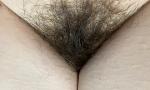 Bokep Mobile extreme close up on my hairy sy huge h 4k HD eo ha