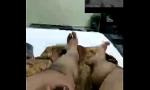 Link Bokep Chubby sma dick gratis