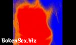 Download video sex new Animated Dick Sucker Mp4 online