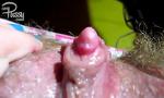Bokep Full BIG CLIT of hairy sticky sy