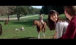 Nonton Video Bokep Betsy sell in Private School (1983)