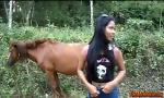 Bokep Full Horse adventures 3gp