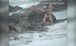 Video Bokep Casal é flagrado fodendo na praia durante tempest terbaik