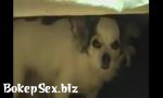 Watch video sex hot cachorro tendo crise existencial enquanto s donos  in BokepSex.biz