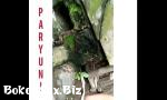 Bokep Menawan 3gp