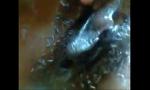 Video Bokep Terbaru Ugandan girl Carol showing longclits in shower 3gp online