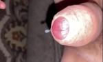 Bokep HD Soaked and dripping Precum