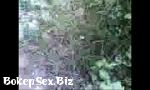 Bokep Video ngintip mp4