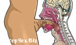 Vidio Bokep Deepthroat cross section gratis