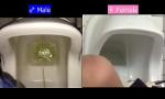 Video Bokep Terbaru Comparison between female pissing and male pissing