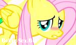 Bokep Full Fluttershy Clopping Pantsu terbaru 2018