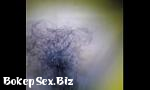 Bokep Sex Indonesia mp4