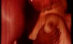 Bokep Full bangla movie cutpiece scene full nude juicy hot un mp4