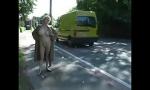 Download Bokep Margaret granny nude in public 4 gratis