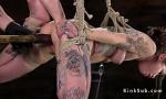 Bokep Hogtied and pended alt slave toyed 3gp online