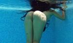 Film Bokep Andreina De Luxe hot Latina in the pool 3gp