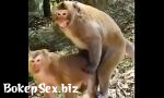 Download video sex new Funny animal hindi sex eo online fastest