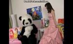 Link Bokep Young fairy revived toy panda and suck gratis