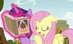 Download vidio Bokep My Little Pony Friendship is Magic Season 9 Episod hot
