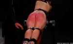 Bokep Hot BDSM slave punish terbaru