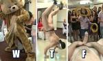 Bokep Baru DANCING BEAR - The Be To Be And Her Slutty Friends 2020