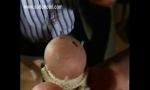 Download vidio Bokep Dirty slave with needles through her nipples is ha online