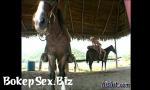 Bokep Full Fucking on Horse hot