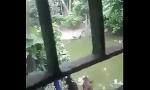 Bokep Mobile Desi aunty bathing mp4