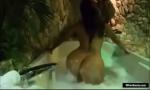 Download Video Bokep Spicy J& 039;s Big Booty ing dildo in hot tub terbaru