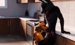 Bokep Mobile Furry Wolf Kitchen Blowjob Animation terbaik