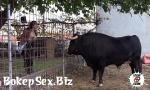 Video Bokep SEXO AL LADO DE UN TORO REAL Mara Lopez Leche69 online