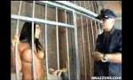 Bokep Video inmate.WMV 2020