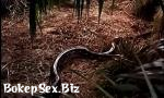 Video Bokep Online Victoria Vetri with snake hot