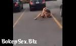 Vidio Bokep milf ladies fighting in public mp4